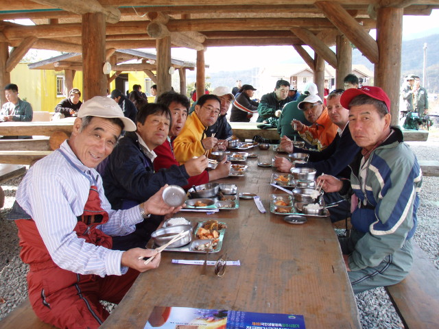 img0031.jpg