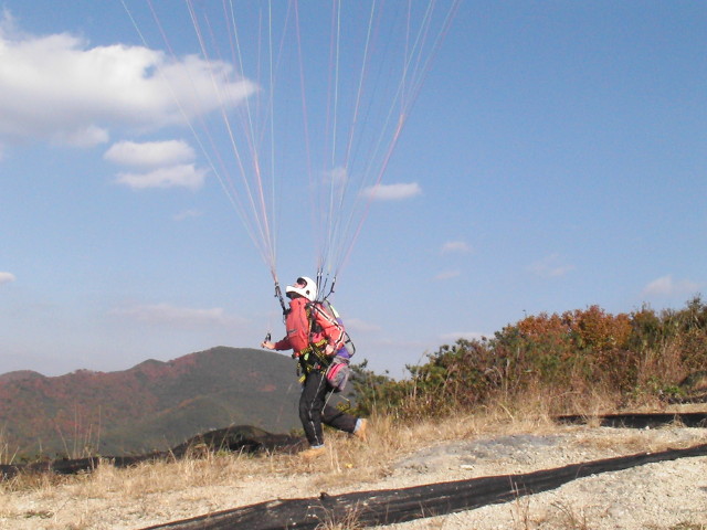 img0061.jpg