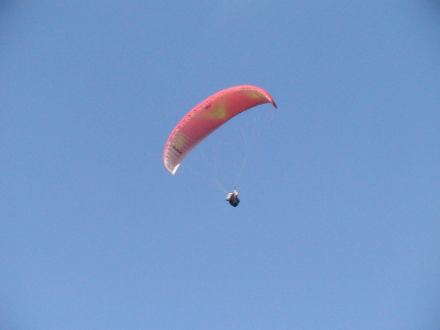 img0064.jpg