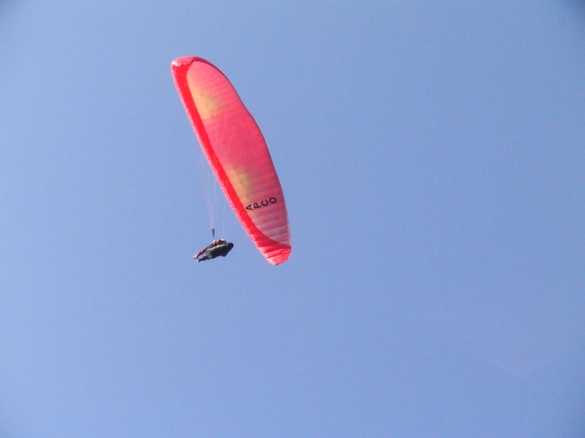 img0080.jpg
