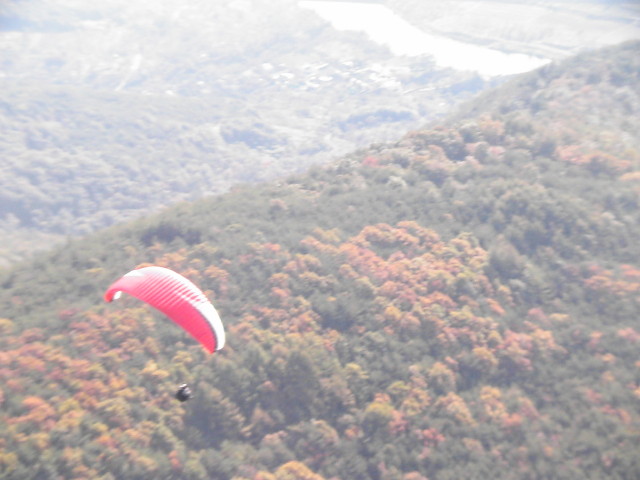 img0083.jpg