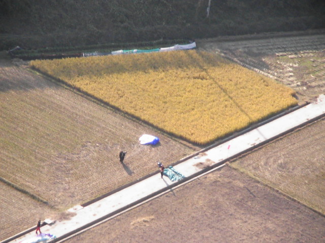 img0098.jpg