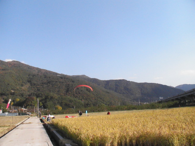 img0101.jpg