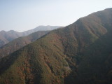 img0019.jpg