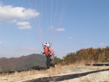 img0061.jpg