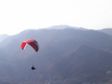 img0077.jpg
