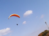img0078.jpg
