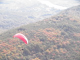 img0083.jpg