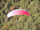 img0092.jpg