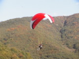 img0099.jpg