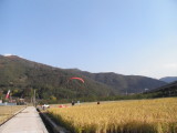 img0101.jpg