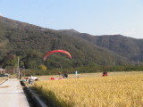 img0102.jpg