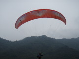 img0011.jpg
