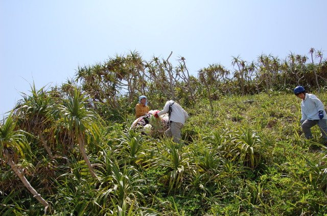 img0013.jpg