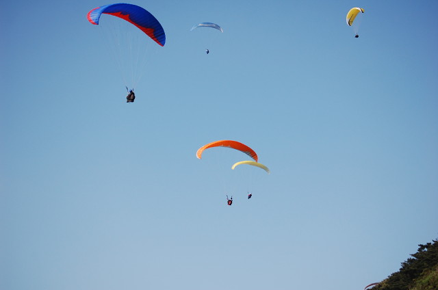 img0063.jpg