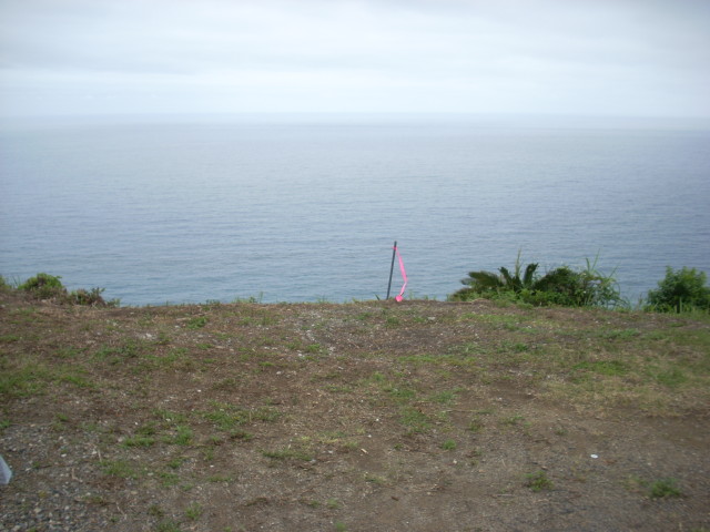 img0116.jpg