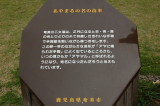 img0006.jpg