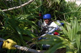 img0011.jpg
