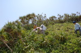 img0013.jpg