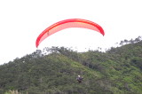 img0021.jpg