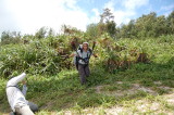 img0031.jpg