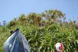 img0033.jpg