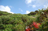 img0042.jpg