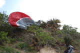 img0045.jpg