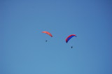 img0055.jpg