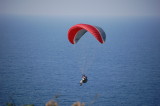 img0060.jpg