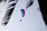 img0065.jpg