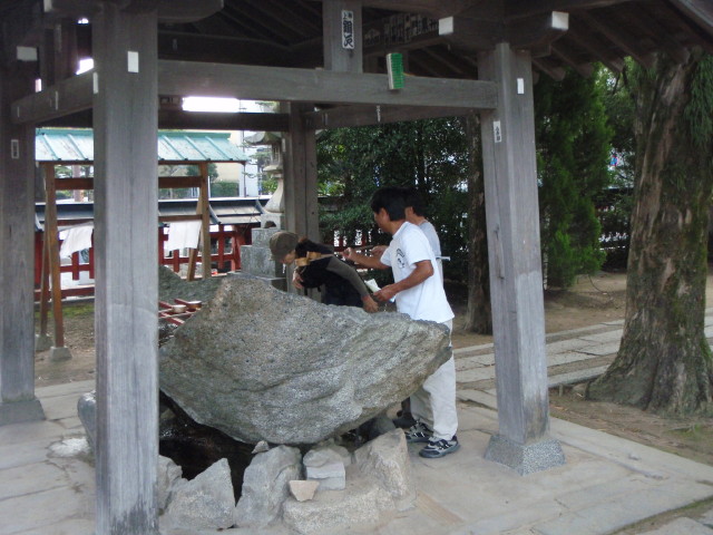 img0014.jpg