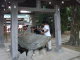 img0014.jpg