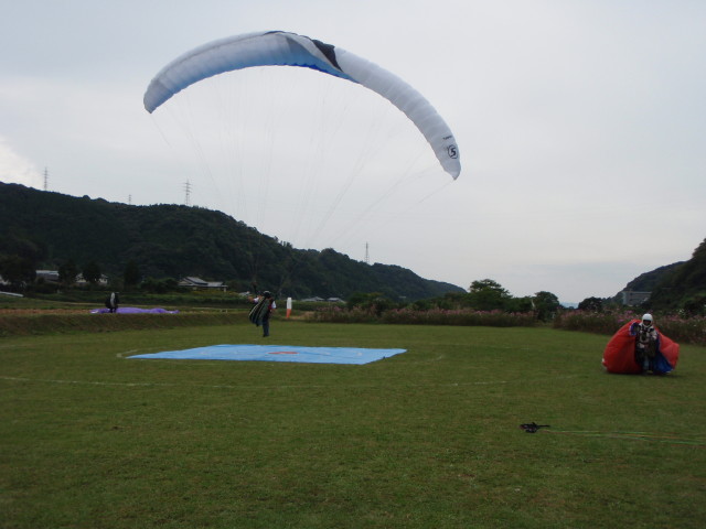 img0017.jpg