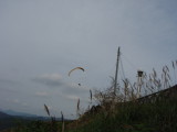 img0008.jpg