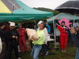 img0034.jpg