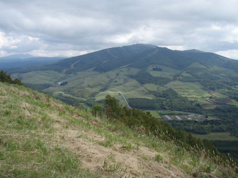 img0085.jpg