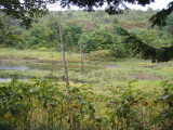 img0052.jpg