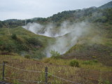 img0061.jpg