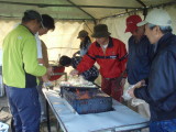 img0099.jpg