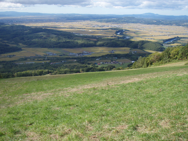 img0014.jpg