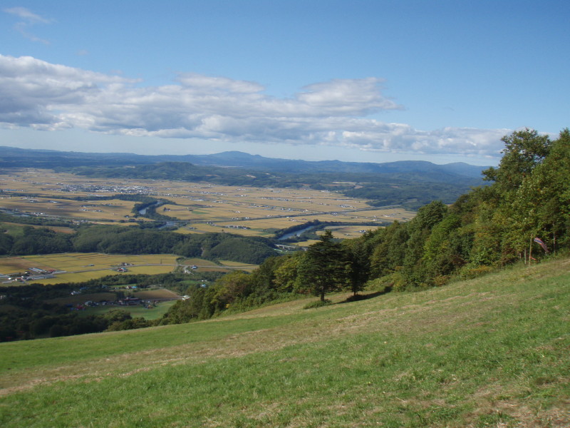 img0019.jpg