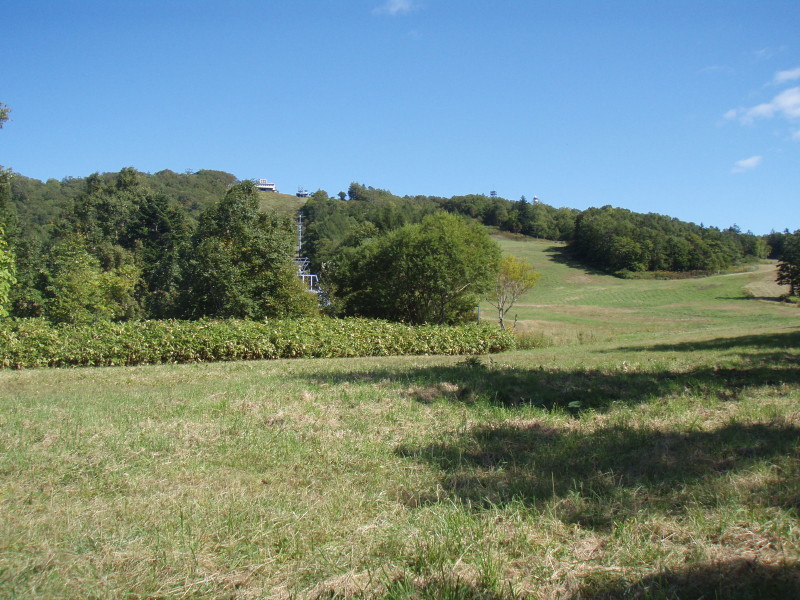 img0020.jpg