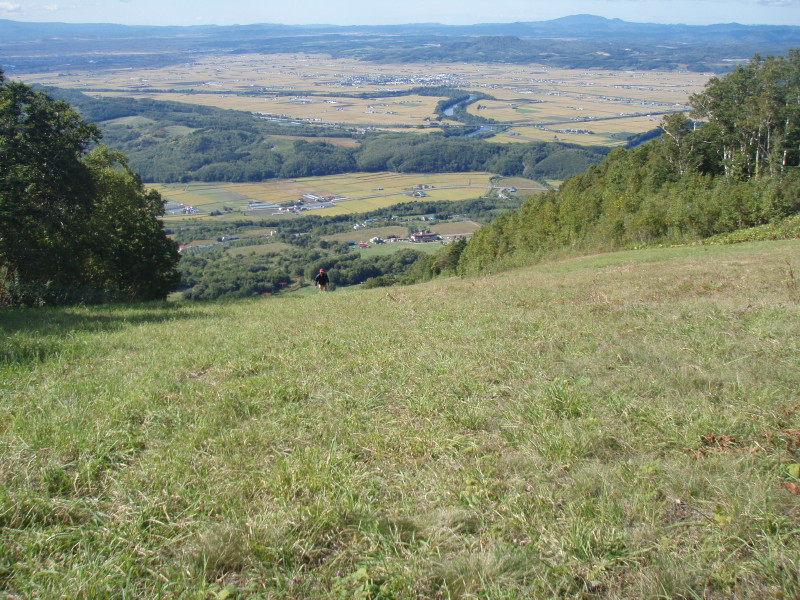 img0021.jpg