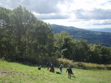 img0016.jpg