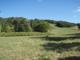 img0020.jpg