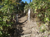 img0024.jpg