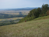 img0055.jpg