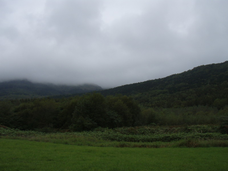 img0013.jpg