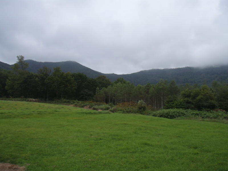 img0015.jpg